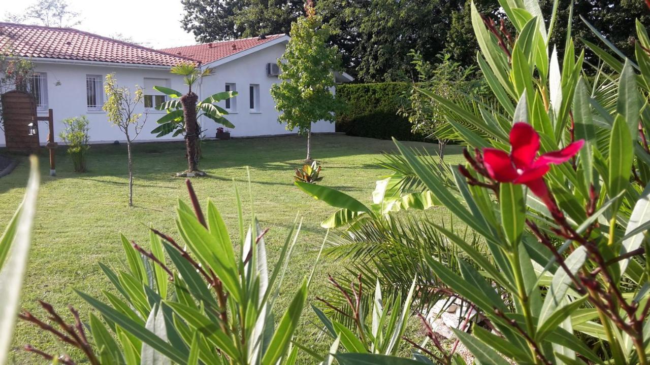 Chambres D'Hotes - Le Petit Bali Saint-Pandelon Экстерьер фото